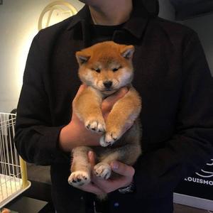 大鸡巴操美女逼
